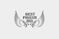 Best Pigeon Bid
